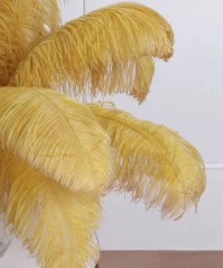 HIER_5180 Set Of 12 | 24