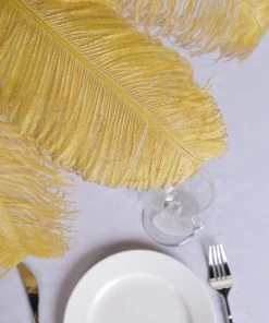 HIER_5180 Set Of 12 | 24