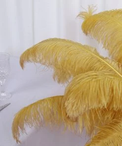 HIER_5180 Set Of 12 | 24