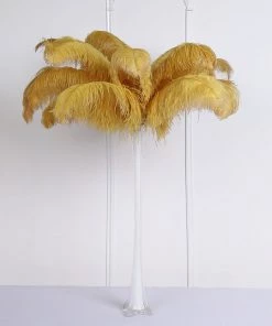 HIER_5180 Set Of 12 | 24