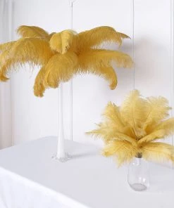 HIER_5180 Set Of 12 | 24