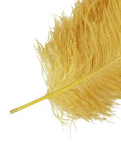 HIER_5180 Set Of 12 | 24