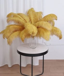 HIER_5180 Set Of 12 | 24