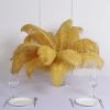 HIER_5180 Set Of 12 | 24"-26" Gold Natural Plume Ostrich Feathers Centerpiece Chargers & Centerpieces
