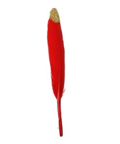 HIER_5180 Chargers & Centerpieces 30 Pack | Glitter Gold Tip Red Real Turkey Feathers | Craft Feathers For Party Decoration