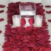 HIER_5130 Chargers & Centerpieces 500 Burgundy Silk Rose Petals For Table Confetti