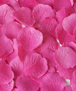 HIER_5130 500 Fuchsia Silk Rose Petals For Table Confetti