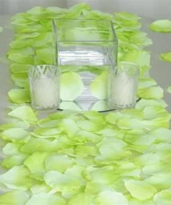 HIER_5130 500 Mint Silk Rose Petals For Table Confetti