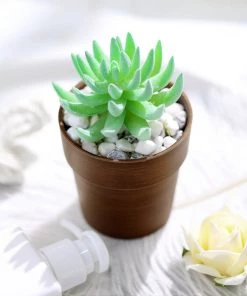 HIER_1733 3 Pack | 3