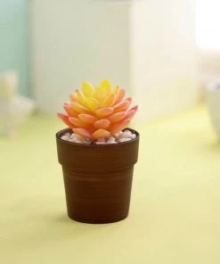 HIER_1733 3 Pack | 3