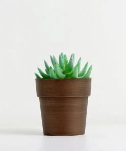 HIER_1733 3 Pack | 3