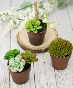 HIER_1733 3 Pack | 3