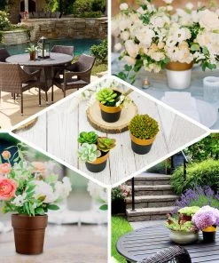 HIER_1733 3 Pack | 3