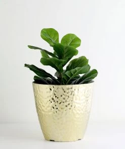 HIER_1733 Chargers & Centerpieces 11" Gold Modern Hammered Design Plant Pot, Indoor Flower Decor Planter