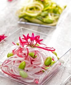 HIER_5420 Disposable Dinnerware 12 Pack 10oz Clear Modern Square Plastic Bowls, Disposable Bowls