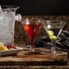HIER_5430 10 Pack Clear 7oz Crystal Plastic Martini Glasses, Disposable Dessert Glasses