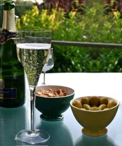 HIER_5430 Disposable Dinnerware 6 Pack 9oz Plastic Disposable Clear Champagne Party Glasses