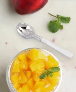 HIER_5460 36 Pack - 5" Light Silver Heavy Duty Plastic Spoons, Tea Coffee Spoons With White Handle Disposable Dinnerware