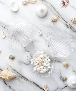 HIER_5320 12 Pack | 3.5" Clear Seashell Party Favor Gift Boxes, Treat Candy Goodie Box For Beach Wedding & Baby Showers