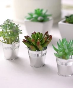 HIER_5320 Disposable Dinnerware 12 Pack | Silver Pail Bucket Party Favor Candy Gift Boxes | Mini Planter - 2