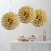 HIER_3300 6 Pack 10" Champagne Paper Tissue Fluffy Pom Pom Flower Balls