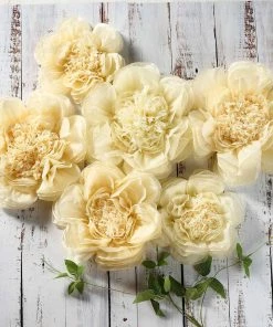 HIER_3400 Chargers & Centerpieces 6 Pack Ivory & Cream Giant Paper Flowers Peony Assorted Sizes - 12" | 16" | 20"