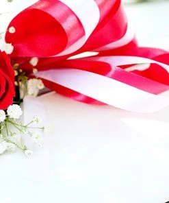 HIER_5143 100 Yards 7/8" Red Satin Ribbon Fabric Bolts & Bags