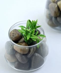 HIER_4830 2 Lbs Assorted Natural Polished Decorative Stones For Vases | Landscaping Rocks Aquarium Gravels Chargers & Centerpieces