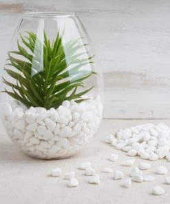 HIER_4830 Chargers & Centerpieces Pack Of 2 Lbs | White Decorative Crushed Gravel | Pebble Stone Vase Fillers - Clearance SALE