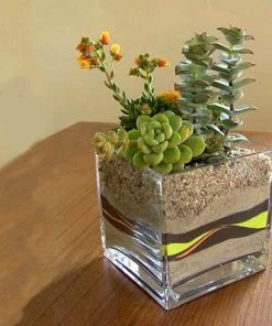 HIER_5110 1 Pound | Natural Tan Decorative Colored Sand For Vase Filler Chargers & Centerpieces 14 HIER_5110 1 Pound | Natural Tan Decorative Colored Sand For Vase Filler Chargers & Centerpieces