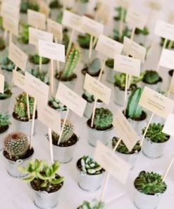 HIER_1600 3 Pack | 4