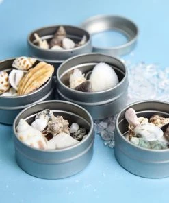 HIER_5320 Tabletop Decor Pack Of 10 | Silver Round Mint Tin Favor Boxes | Clear Top Candy Tin Party Favors