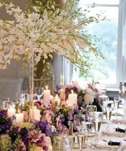 HIER_4810 Chargers & Centerpieces 6 Pack | 36