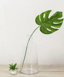 HIER_4810 2 Pack | 12