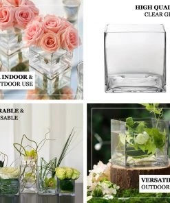 HIER_4810 6 Pack | 6