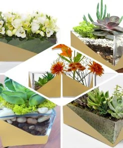 HIER_4810 2 Pack | 6" Gold Dipped Square Glass Vases | Votive Candle Holders 17 HIER_4810 2 Pack | 6