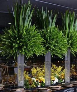 HIER_5200 6 Pack | 16" Heavy Duty Square Glass Cylinder Vase, Clear Glass Flower Vase 15 HIER_5200 6 Pack | 16