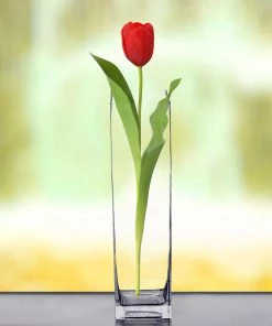 HIER_5200 6 Pack | 16" Heavy Duty Square Glass Cylinder Vase, Clear Glass Flower Vase