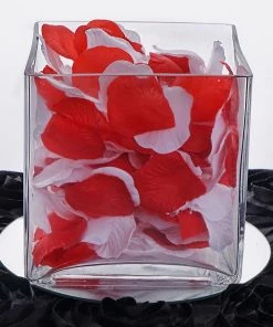 HIER_4810 6 Pack | 6