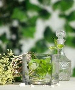 HIER_4810 6 Pack | 6