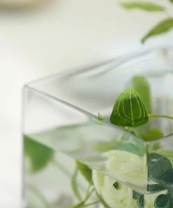 HIER_4810 6 Pack | 6