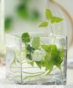 HIER_4810 6 Pack | 6