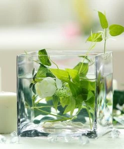 HIER_4810 6 Pack | 6