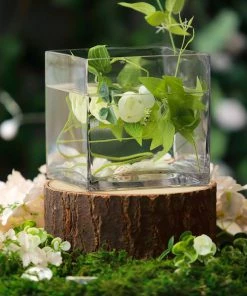 HIER_4810 6 Pack | 6