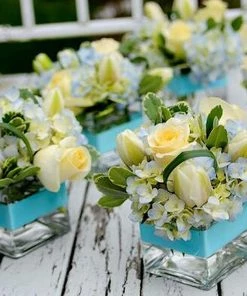 HIER_4810 6 Pack | 6