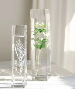 HIER_4810 12 Pack | 14