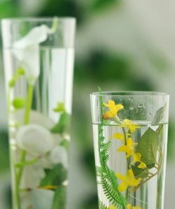 HIER_4810 Chargers & Centerpieces 6 Pack | 20'' Clear Heavy Duty Trumpet Glass Vase