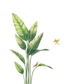 HIER_3400 Bird Of Paradise Tropical Plant Wall Decal, Peel & Stick Removable Stickers Big Event Backdrops & Décor