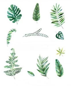 HIER_3400 Green Tropical Assorted Leaves Wall Decals, Plant Peel Removable Stickers