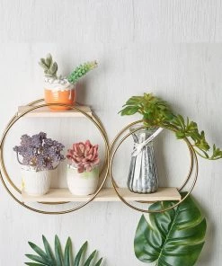 HIER_3400 2-Tier Round Floating Shelf, Dessert Display Stand, Hanging Wall Shelf Gold With Double Hoop Design - 10"H X 18"L